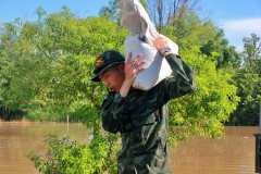 batch_IMG_9814