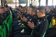batch_IMG_8780