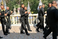 batch_IMG_8867