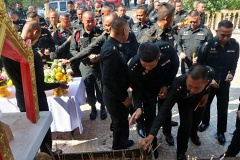 batch_IMG_8903