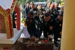 batch_IMG_8911
