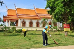 batch_IMG_8687