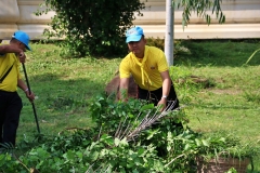 batch_IMG_8693