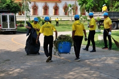 batch_IMG_8695