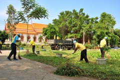 batch_IMG_8698