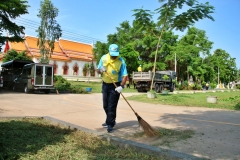 batch_IMG_8710