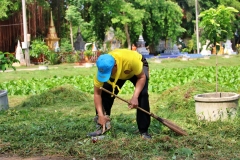batch_IMG_8722