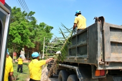 batch_IMG_8731
