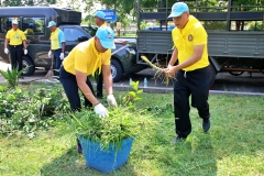 batch_IMG_8734