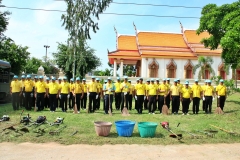 batch_IMG_8755