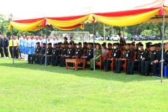 batch_IMG_8785
