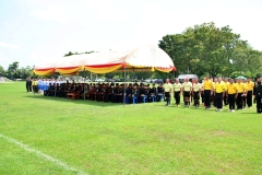 batch_IMG_8787
