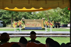 batch_IMG_8790