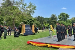 batch_IMG_8813