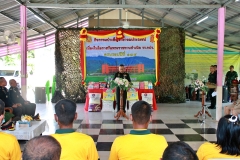 batch_IMG_7774