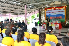 batch_IMG_7776