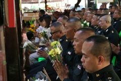 batch_IMG_7333