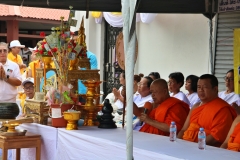batch_IMG_7637