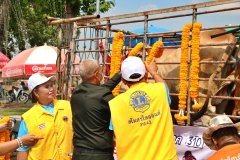 batch_IMG_7669