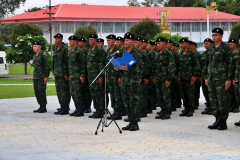 batch_IMG_9387