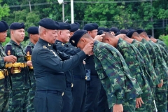 batch_IMG_9412