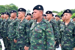 batch_IMG_9477