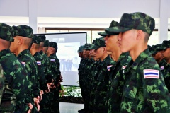 batch_IMG_3981