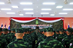 batch_IMG_3987