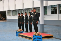 batch_IMG_8774