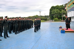 batch_IMG_8782