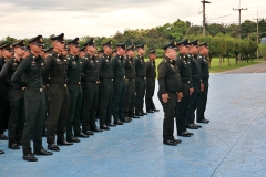 batch_IMG_8784