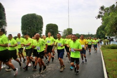 batch_IMG_3617