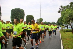 batch_IMG_3619