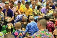 batch_IMG_2644_0