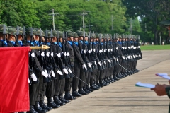 batch_IMG_1066