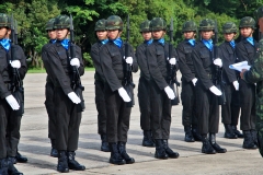 batch_IMG_1074