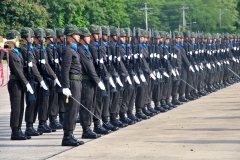 batch_IMG_1081