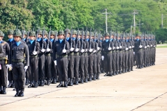 batch_IMG_1084