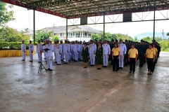 batch_IMG_5478