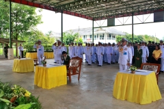 batch_IMG_5549