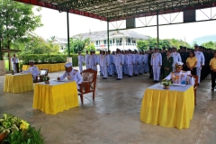 batch_IMG_5551