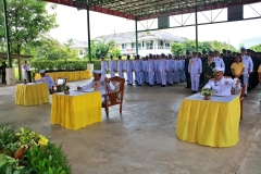 batch_IMG_5559