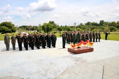 batch_IMG_9774_0_0