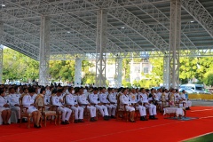batch_IMG_5604