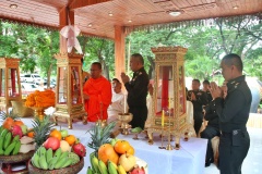 batch_IMG_1642