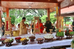 batch_IMG_1733