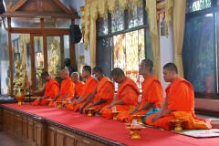 batch_IMG_1973