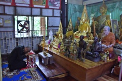 batch_IMG_5693