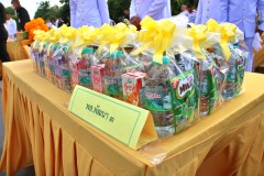 batch_IMG_8544_0