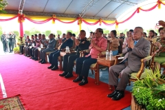 batch_IMG_7005